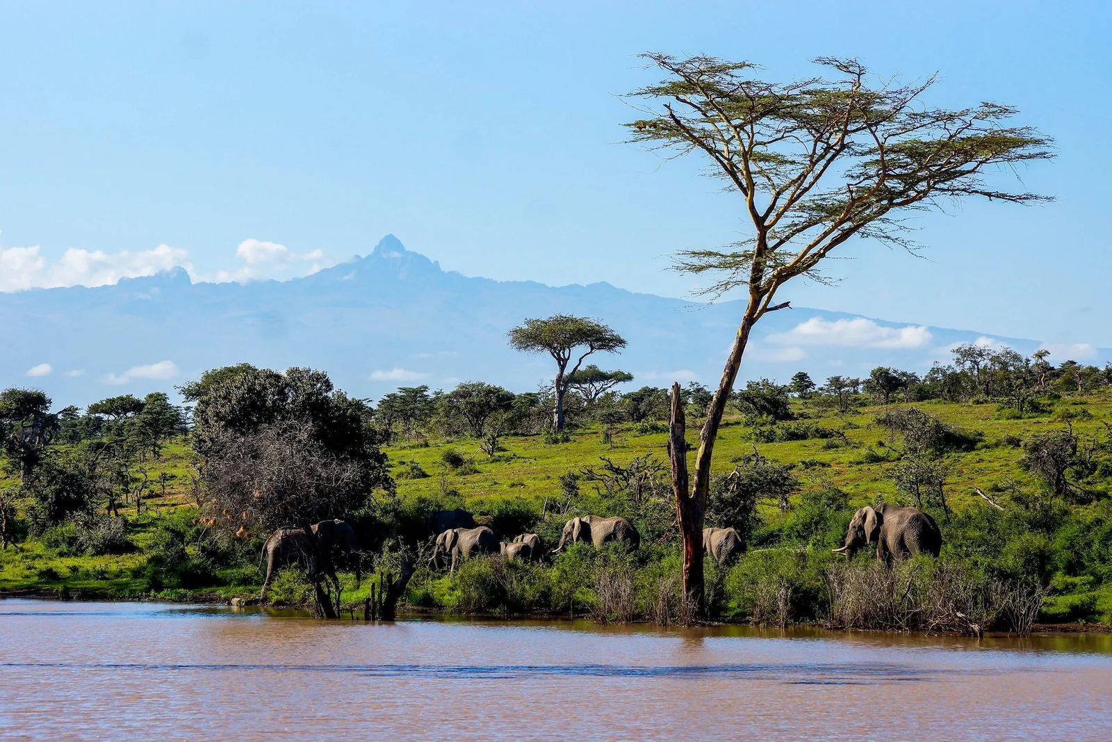 The Best Spots for Your Honeymoon Safari in Kenya