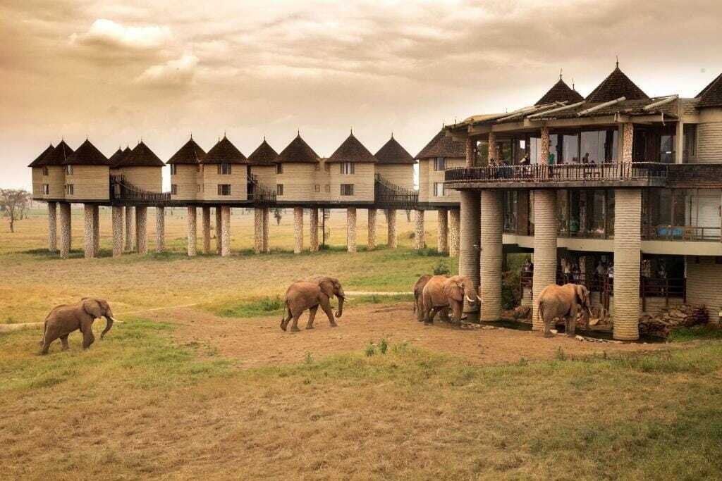 Glamping in Tsavo: 5 Luxury Camps in Tsavo East You Need To Visit