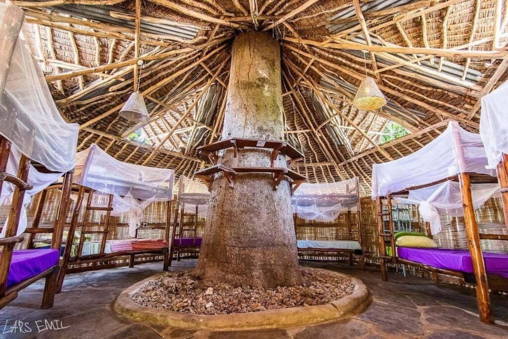 Dorm rooms at Diani Backpackers