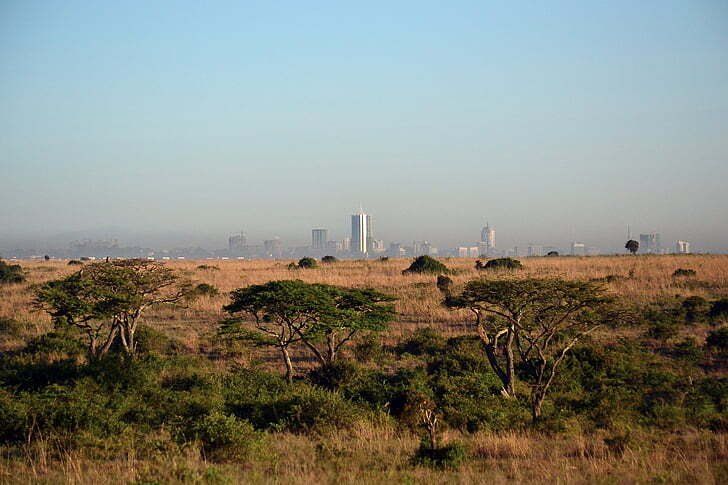 How To Explore Nairobi In One Day (For Adventurers)