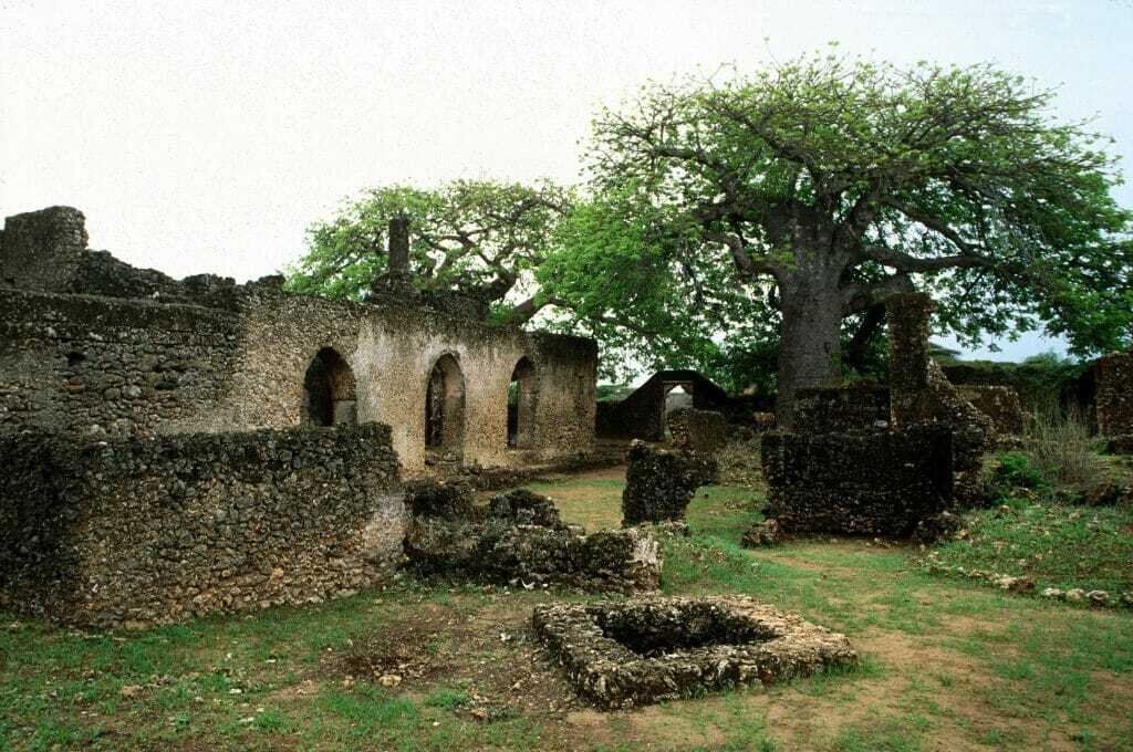 The 7 Best things do to in Lamu