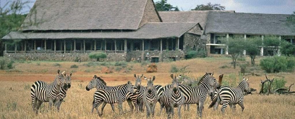 Glamping in Tsavo: 5 Luxury Camps in Tsavo East You Need To Visit