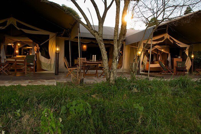 The 5 best value for Money lodges in the maasai mara