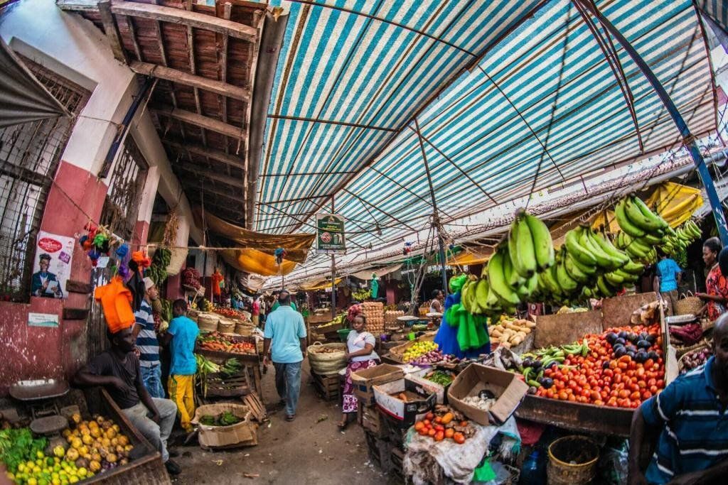 The 7 Best things do to in Lamu