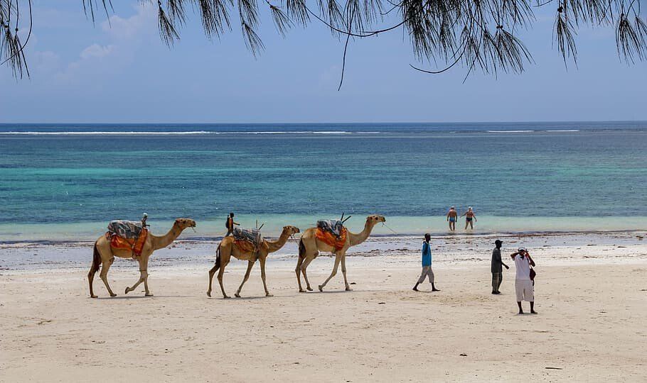 The Top 5 Reasons Why You Need To Visit Diani Beach, Kenya