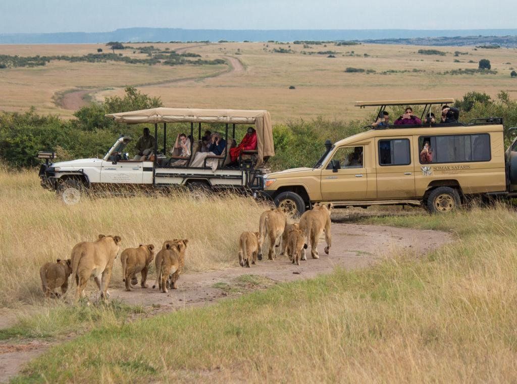 Masai Mara, 10 day Kenya itinerary