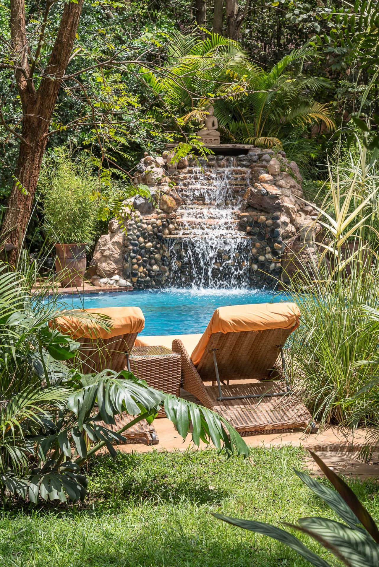 The garden pool at Jungle Oasis, a boutique nature stay in Nairobi