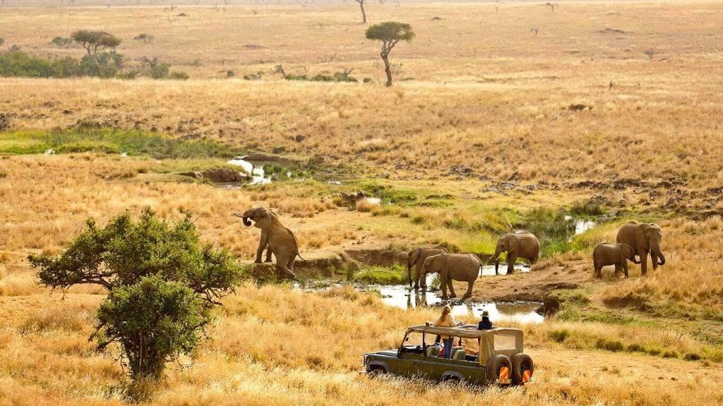 6 wildlife conservancies in Kenya you need to visit