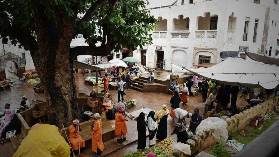 The 7 Best things do to in Lamu