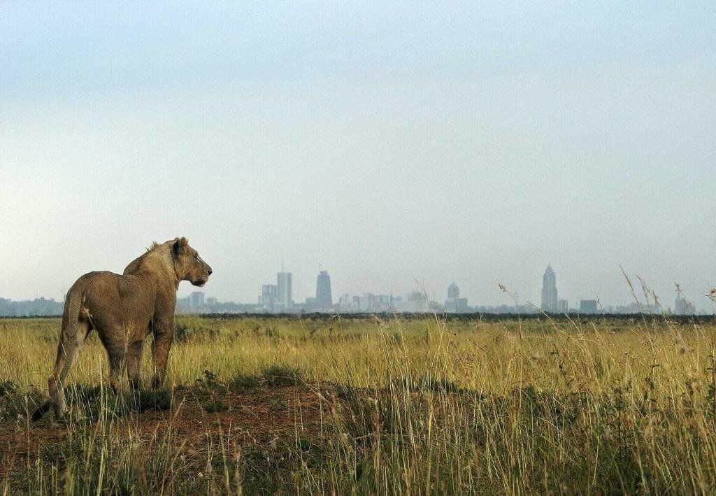 The Best Areas in Nairobi