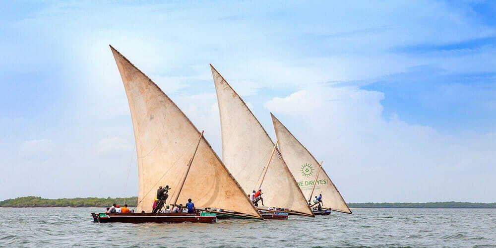 The 7 Best things do to in Lamu