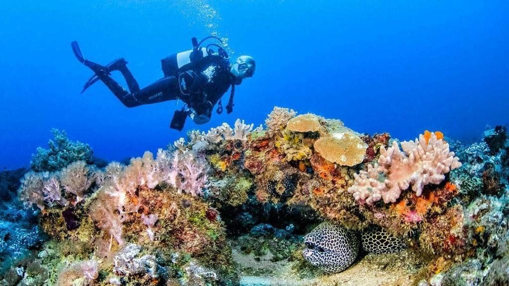 Top 5 must-do activities When Visiting Diani Beach
