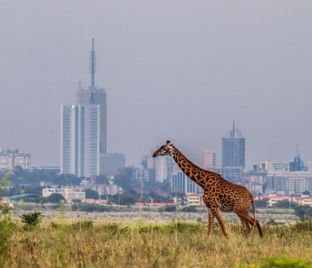 How To Explore Nairobi In One Day (For Adventurers)