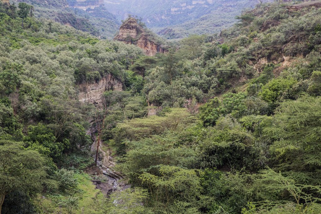 Into the Rift Valley