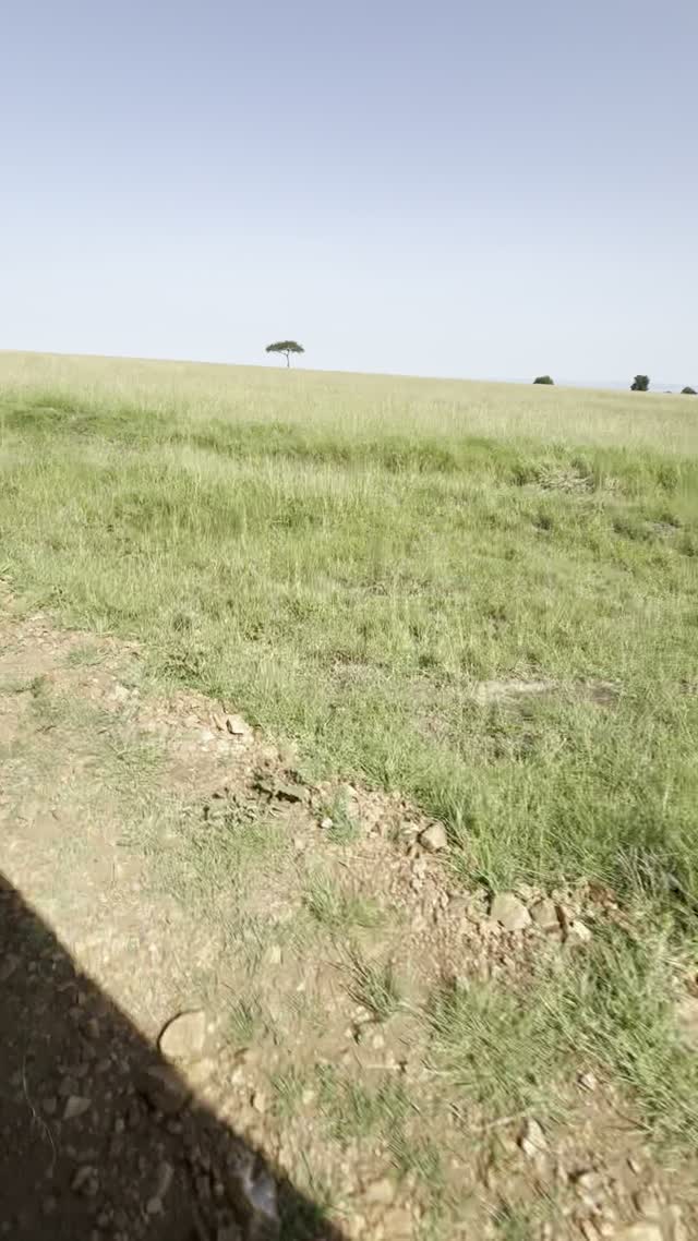Kenyan guide welcoming a traveller